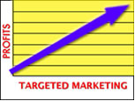 Profits From Targeted Search Engine Marketing